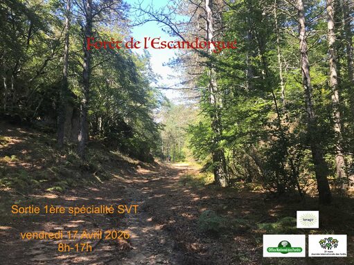 Sortie forêt Escandorgue
1ère spé
Vendredi 17 avril 2026
8h 17h